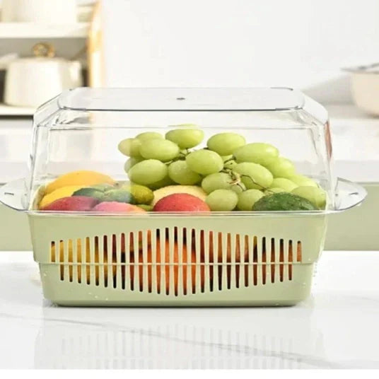 DRAIN RACK WITH LID